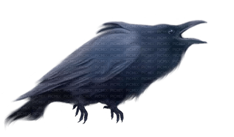 raven Bb2 - PNG gratuit