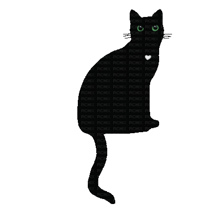 halloween cat - Gratis animeret GIF