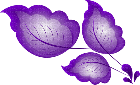 blätter lila - PNG gratuit