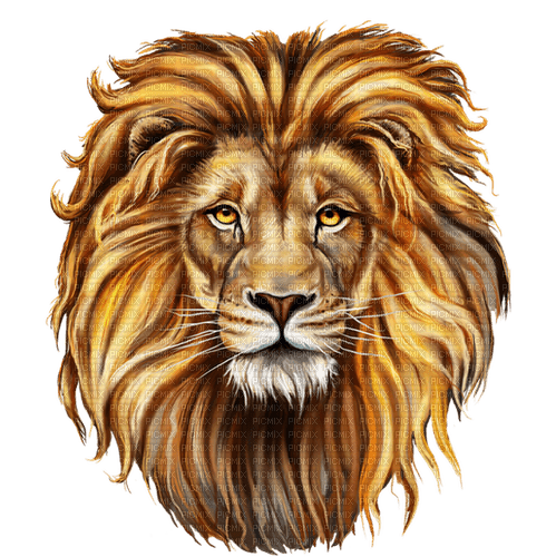 lion - δωρεάν png
