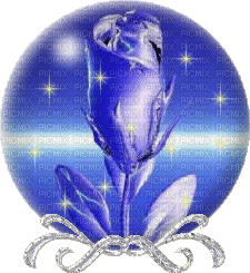rose bleu - GIF animé gratuit