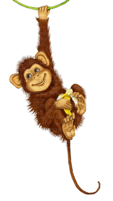 Kaz_Creations Animals Monkey Animated - Free animated GIF - PicMix