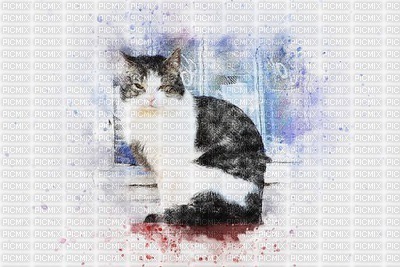 MMarcia aquarela gato fundo - png ฟรี