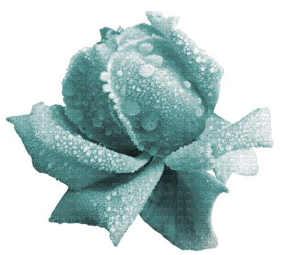kikkapink deco scrap winter rose - 免费PNG