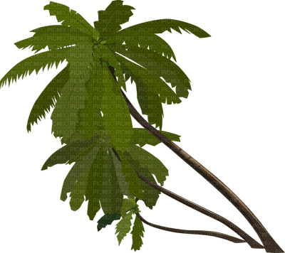 Kaz_Creations Trees - 免费PNG