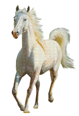 caballo by EstrellaCristal - Бесплатный анимированный гифка