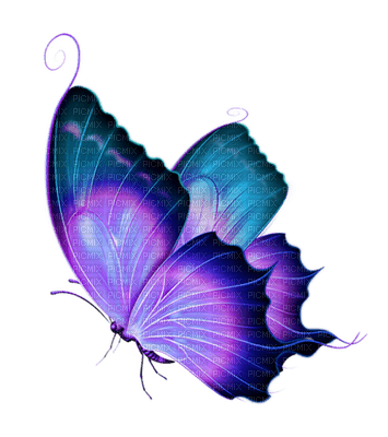 Kaz_Creations Deco Butterfly Colours - png grátis