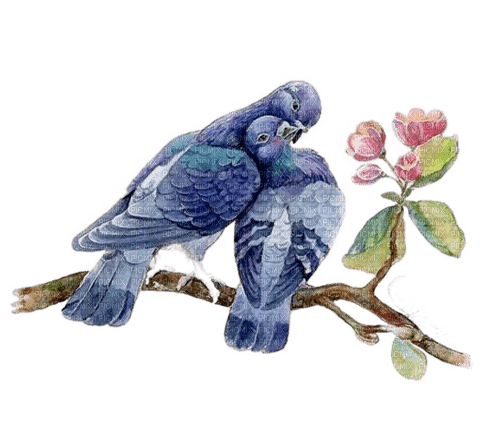 kikkapink deco birds couple branch flowers - PNG gratuit
