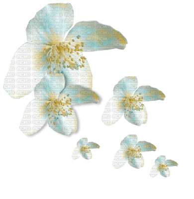 Fleur Blanche.Cheyenne63 - Free PNG