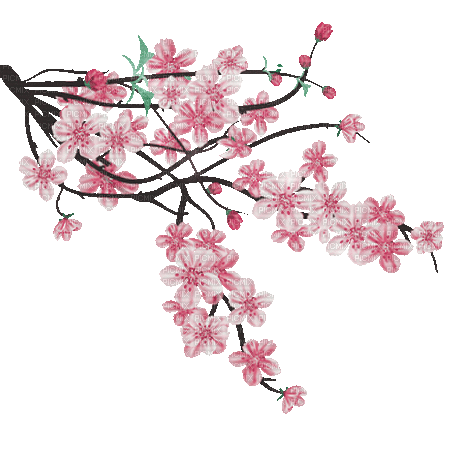 arbre cerisier - Gratis animerad GIF