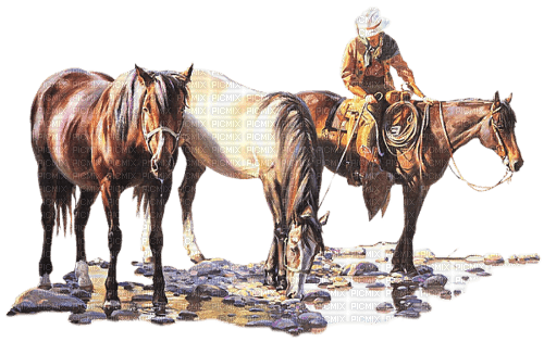 pferd texas - ilmainen png