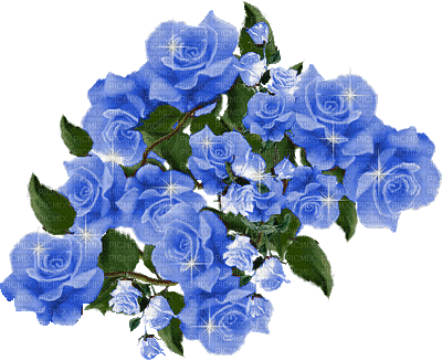 MMarcia gif flores azuis fundo - Ücretsiz animasyonlu GIF