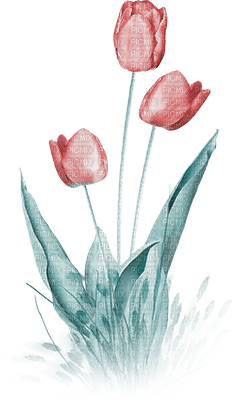 soave deco flowers garden spring tulips grass - 免费PNG