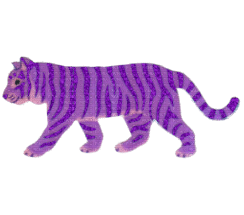 Sparkle tiger purple - Zdarma animovaný GIF