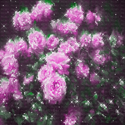 dolceluna purple green roses fond gif animated - GIF animé gratuit