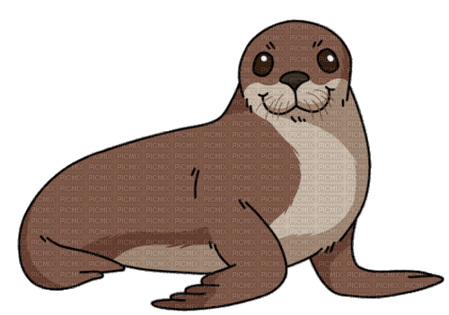 nbl-sea lion - GIF animado gratis