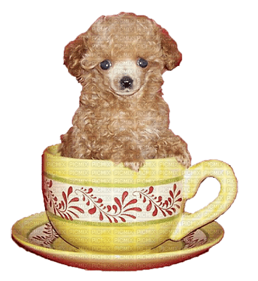 puppy in cup bp - ingyenes png