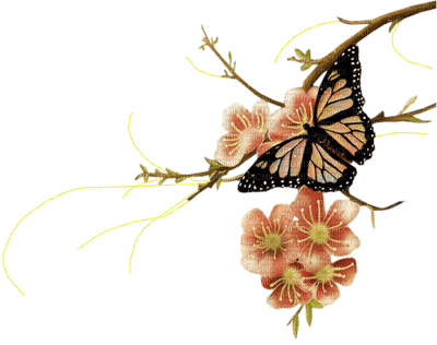Butterfly and flowers - zdarma png
