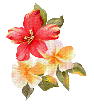 Y.A.M._Summer flowers - GIF animasi gratis