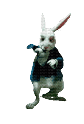 Alice.Wonderland.Rabbit.gif.Victoriabea - GIF animé gratuit