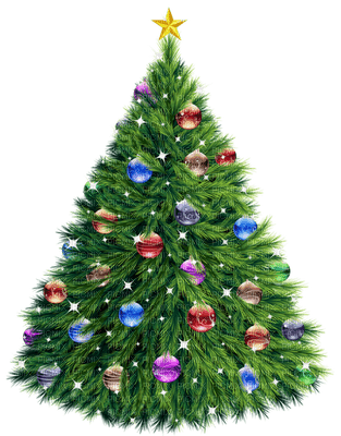 noel albero fir laurachan - ücretsiz png