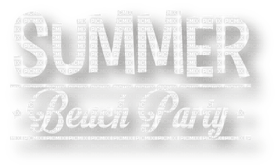 sumer beach party - nemokama png