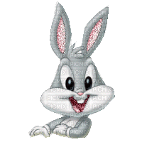 bunny - Бесплатный анимированный гифка