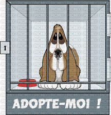 chien triste - Бесплатный анимированный гифка
