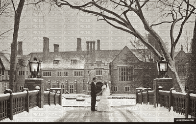 Couple.Wedding.Winter.Hiver.Mariage.Paysage.Landscape.Background.Victoriabea - GIF animé gratuit