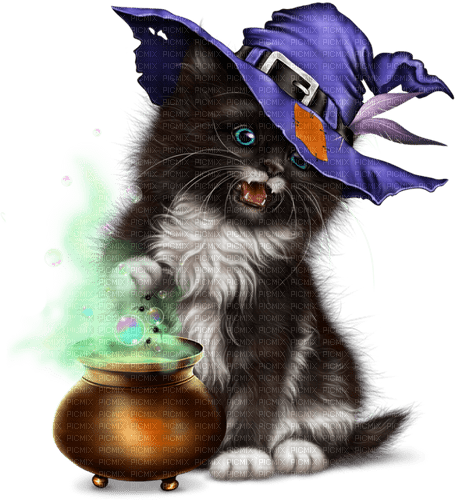 Y.A.M._Halloween cat - Free PNG