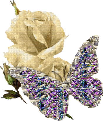 papillon fleur - Gratis animeret GIF
