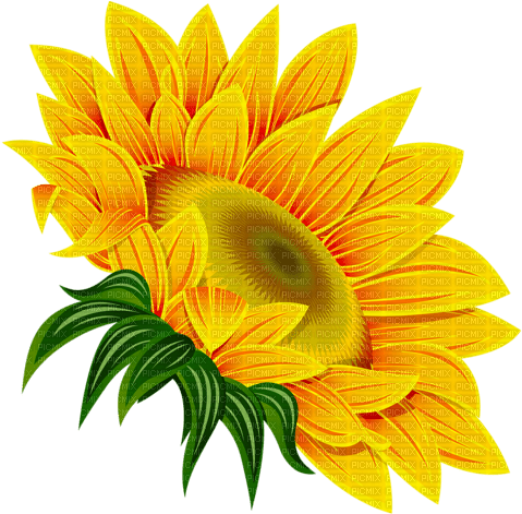 sunflower deco - besplatni png