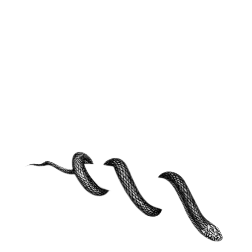tatouage serpent - png gratuito