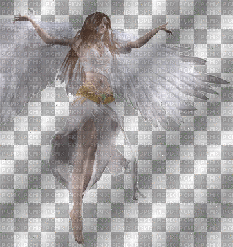 angel5 - Zdarma animovaný GIF