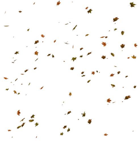 ✶ Autumn Leaves {by Merishy} ✶ - PNG gratuit