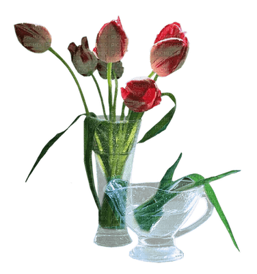 tulipany - 免费PNG