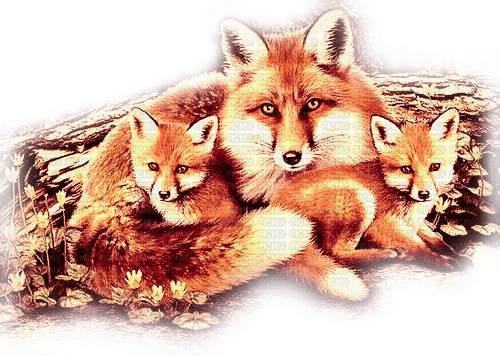 soave autumn fox animals brown - PNG gratuit