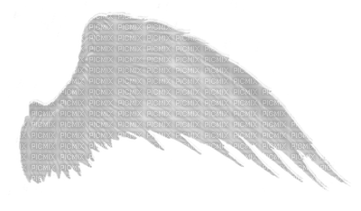 Angel Wing - Free PNG