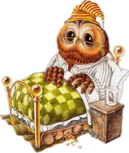 owl eule hibou ill - GIF animado grátis
