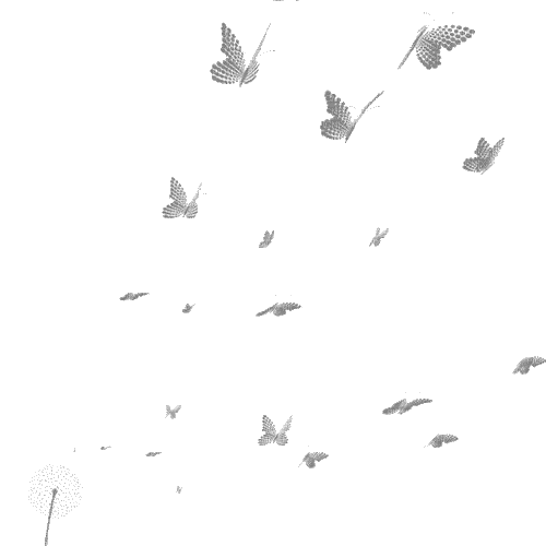 butterfly's - Ingyenes animált GIF