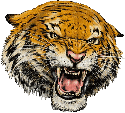tigre HD - 無料のアニメーション GIF
