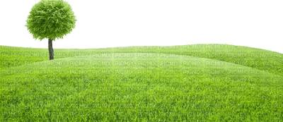 Gras - ücretsiz png