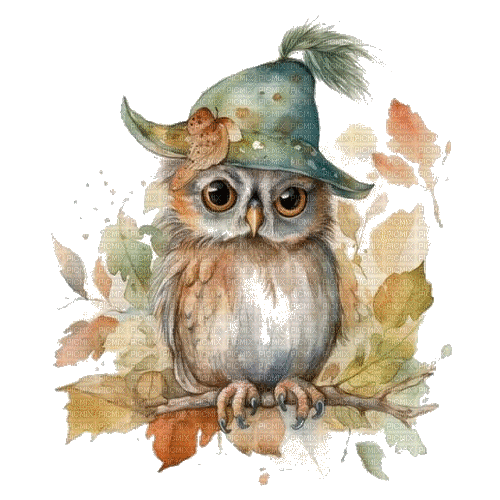 chouette, aquarelle, owl, watercolor, autumn, - 免费动画 GIF
