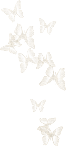 fjärilar---butterflies - PNG gratuit