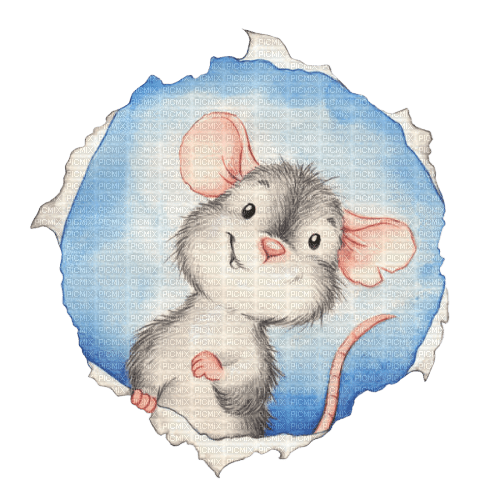 mouse maus mice souris animal animaux fun tube mignon animals - zadarmo png