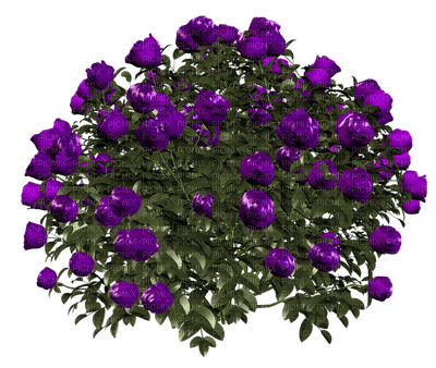 Flores - png gratuito