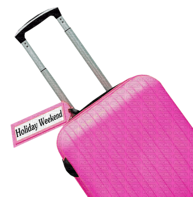 Kaz_Creations Luggage Holiday Suitcase - png gratis