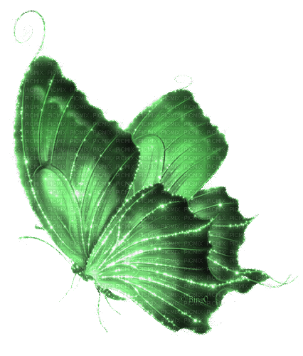 Y.A.M._Fantasy butterfly green - GIF animado gratis