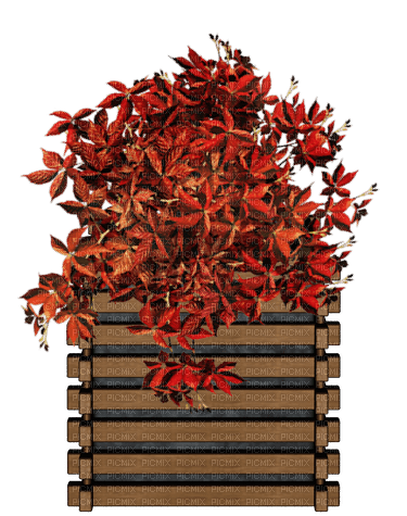 Hojas rojas de otoño en maceta - png gratis