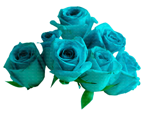 Roses.Blue - zadarmo png